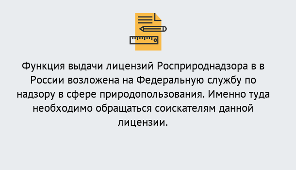 Почему нужно обратиться к нам? Переславль-Залесский Лицензия Росприроднадзора. Под ключ! в Переславль-Залесский