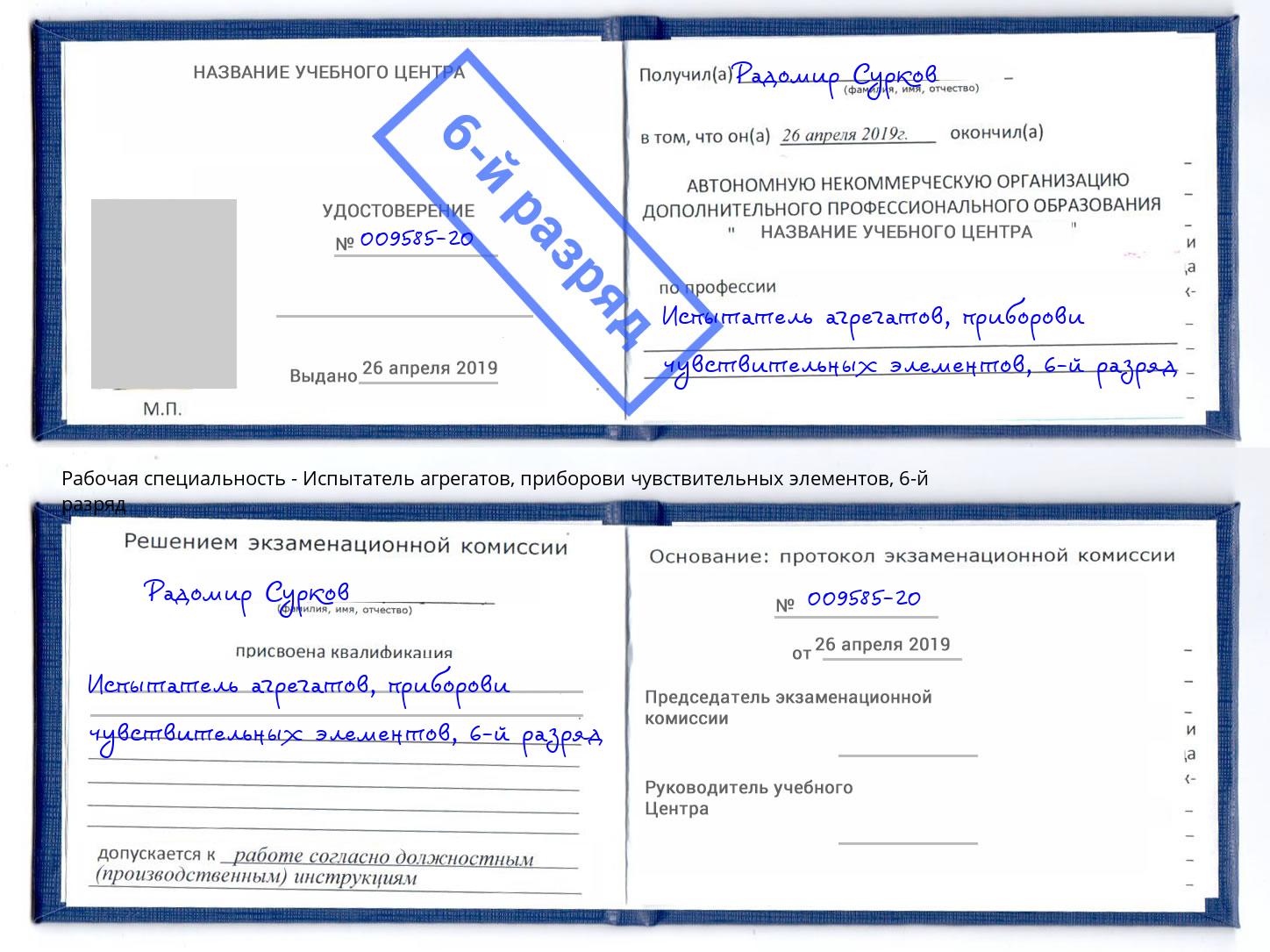 корочка 6-й разряд Испытатель агрегатов, приборови чувствительных элементов Переславль-Залесский