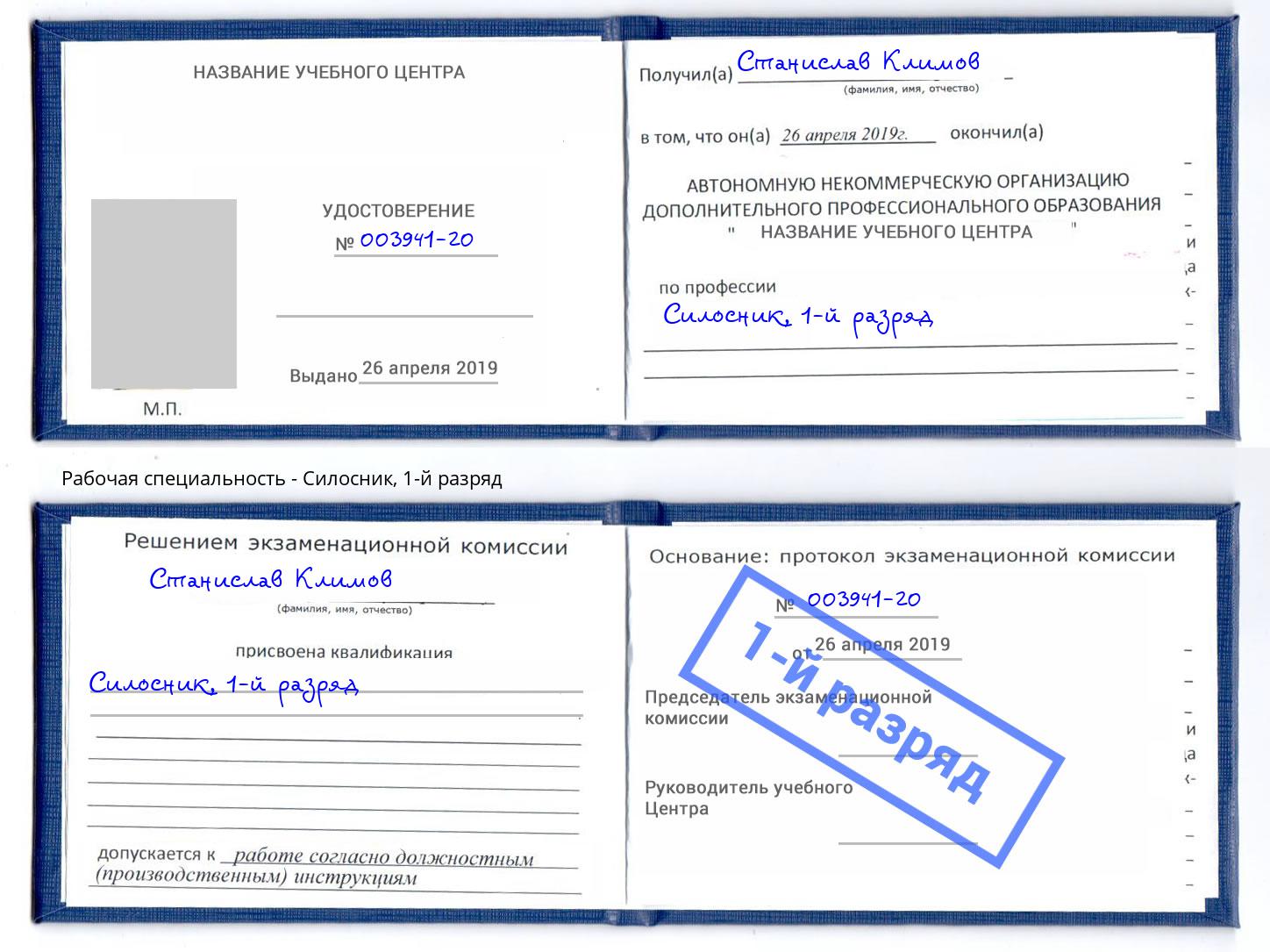 корочка 1-й разряд Силосник Переславль-Залесский