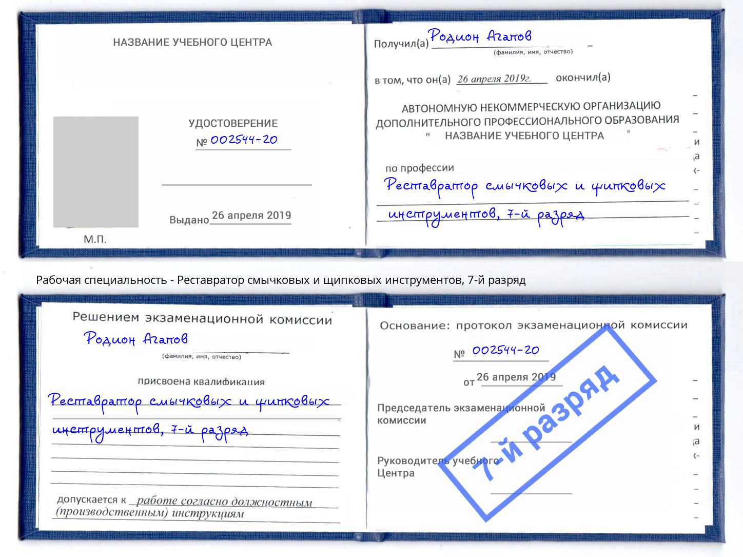 корочка 7-й разряд Реставратор смычковых и щипковых инструментов Переславль-Залесский