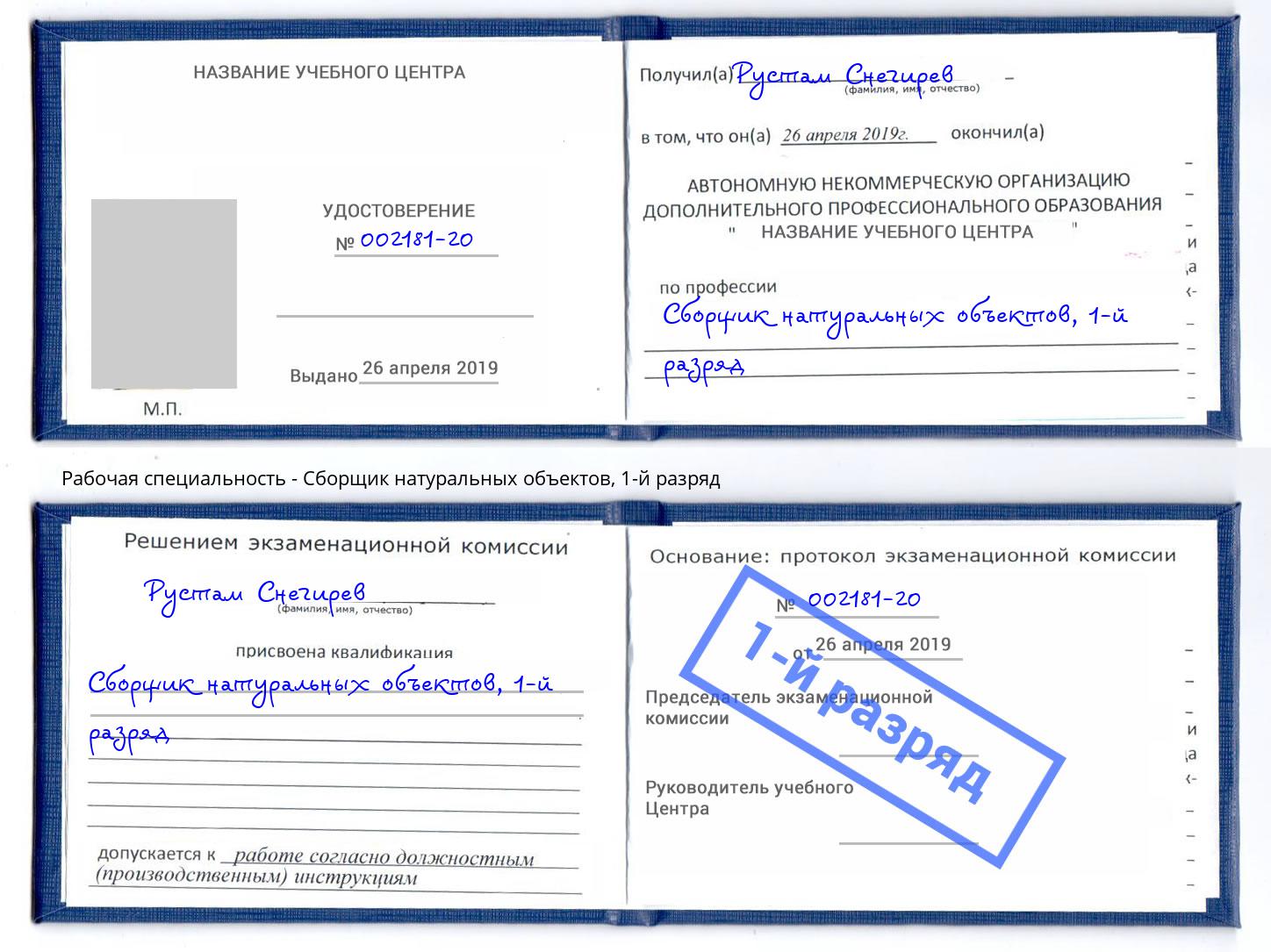 корочка 1-й разряд Сборщик натуральных объектов Переславль-Залесский