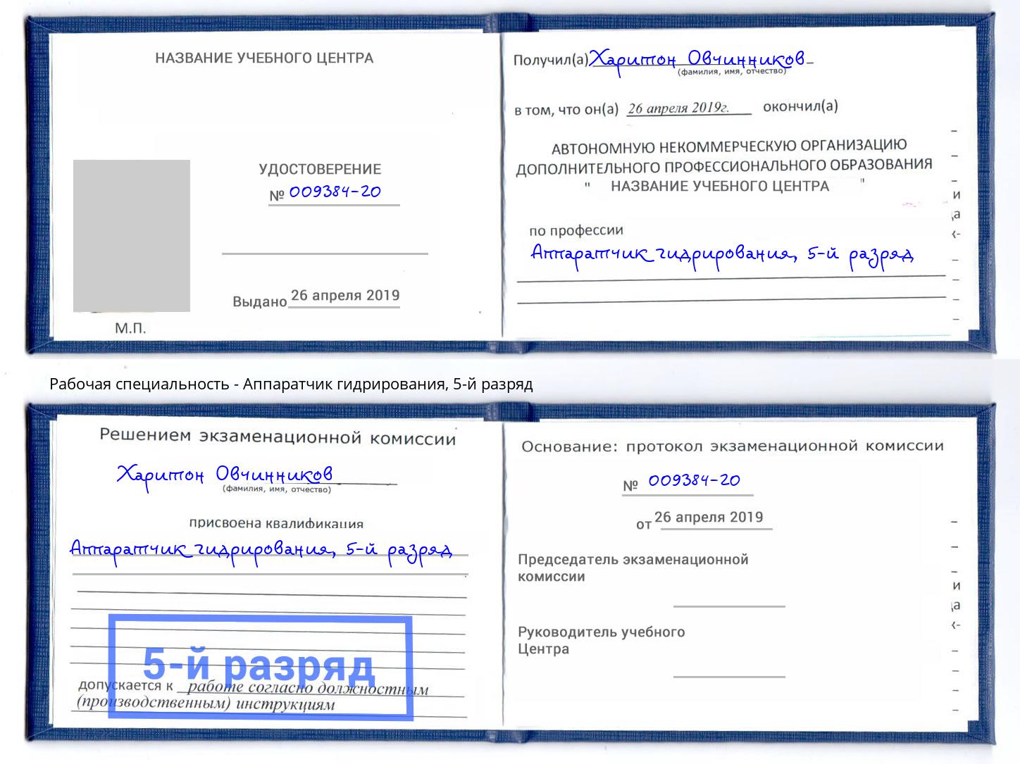 корочка 5-й разряд Аппаратчик гидрирования Переславль-Залесский