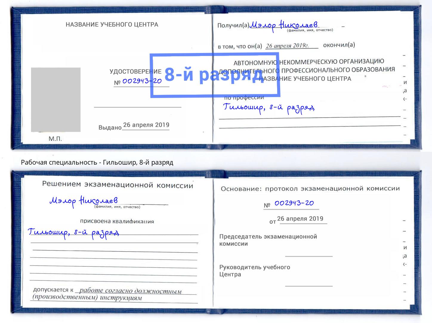 корочка 8-й разряд Гильошир Переславль-Залесский