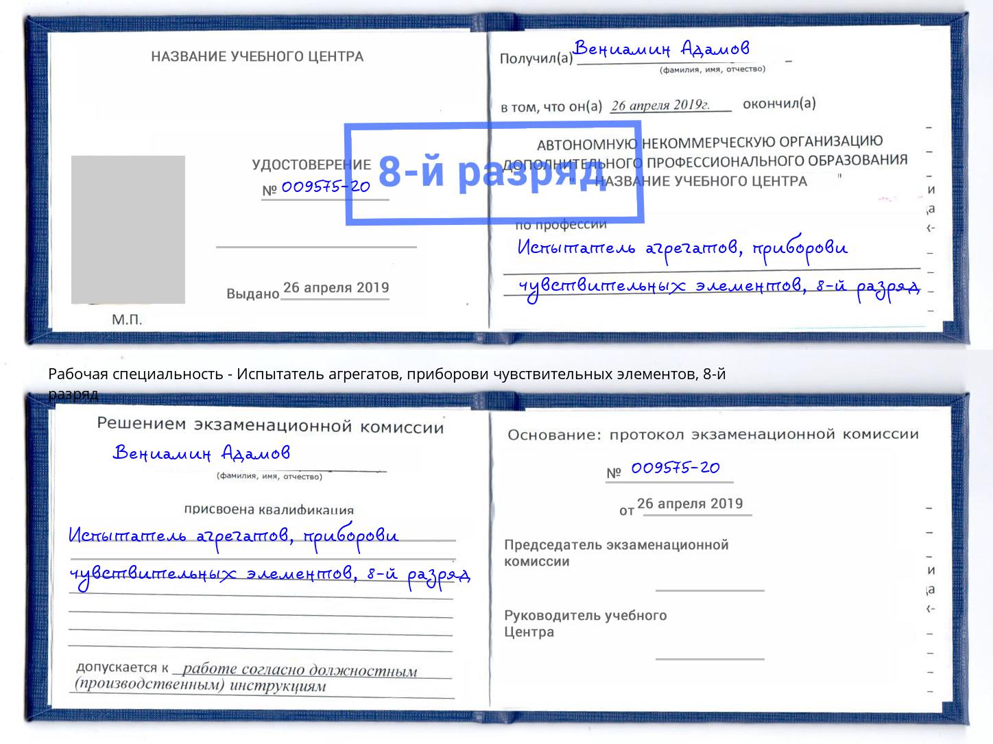 корочка 8-й разряд Испытатель агрегатов, приборови чувствительных элементов Переславль-Залесский